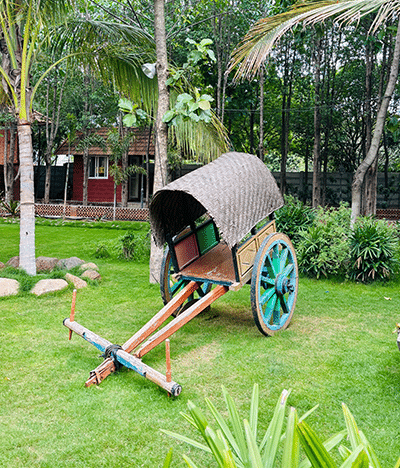 Nature & Leisure Lawns